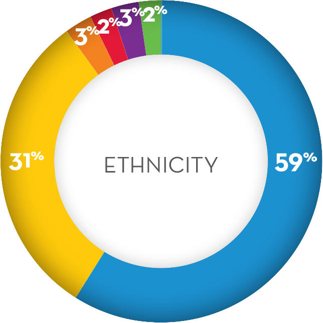 Ethnicity Pie Chart FY23