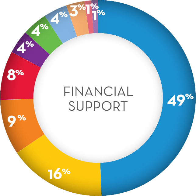 Financial Pie Support by Source