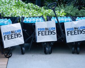 Food Lion water DSC04293 small